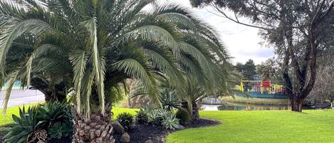 A well-maintained garden with a palm tree, a pond, and a playground in the background.