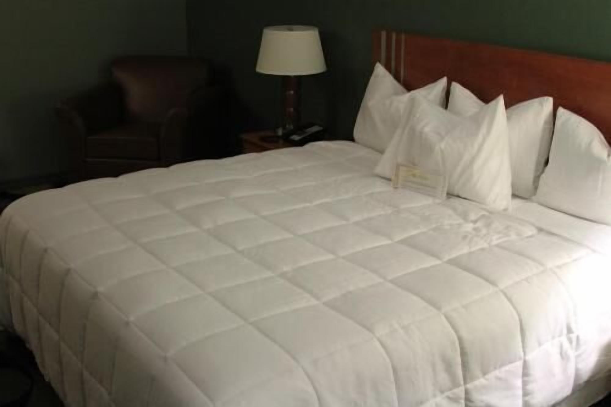 Työpöytä, silitysrauta/-lauta, ilmainen Wi-Fi, vuodevaatteet