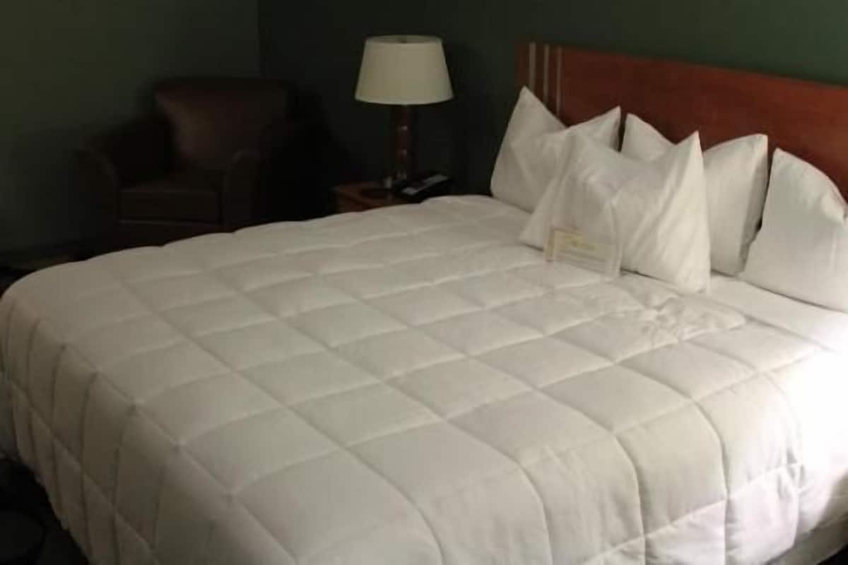 A bed with a white quilted bedspread, a wooden headboard, and a nightstand with a lamp.
