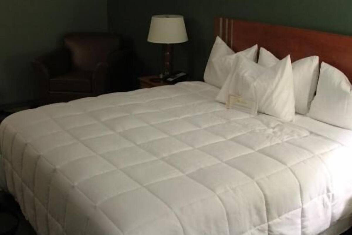 Työpöytä, silitysrauta/-lauta, ilmainen Wi-Fi, vuodevaatteet