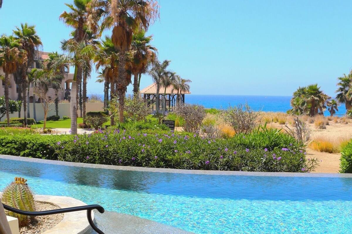 Uma área à beira da piscina com vista desobstruída para o oceano, palmeiras e um cacto.