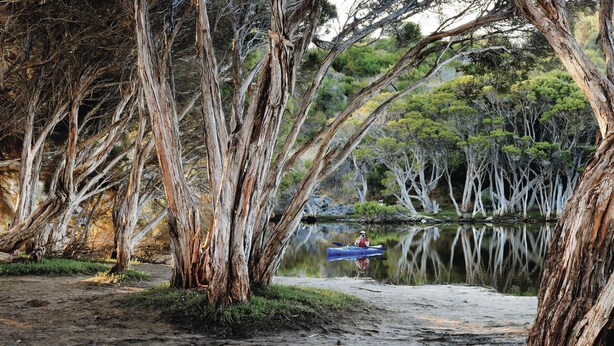 Un paysage naturel comprenant une étendue d’eau, des arbres et un kayak.
