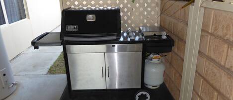 Una cocina compacta de acero inoxidable con una parrilla integrada, un tanque de gas y un lavamanos pequeño.
