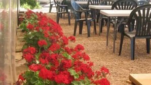 Rivi punaisia pelargonioita istutuslaatikossa, ulkona oleva oleskelualue, jossa on mustia tuoleja ja pöytiä.
