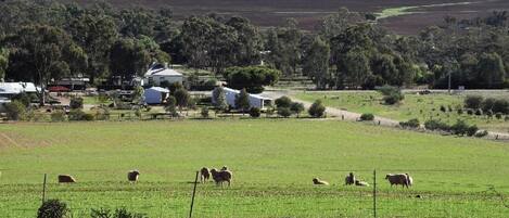 A rural landscape with a fenced field, a few buildings, and scattered trees.