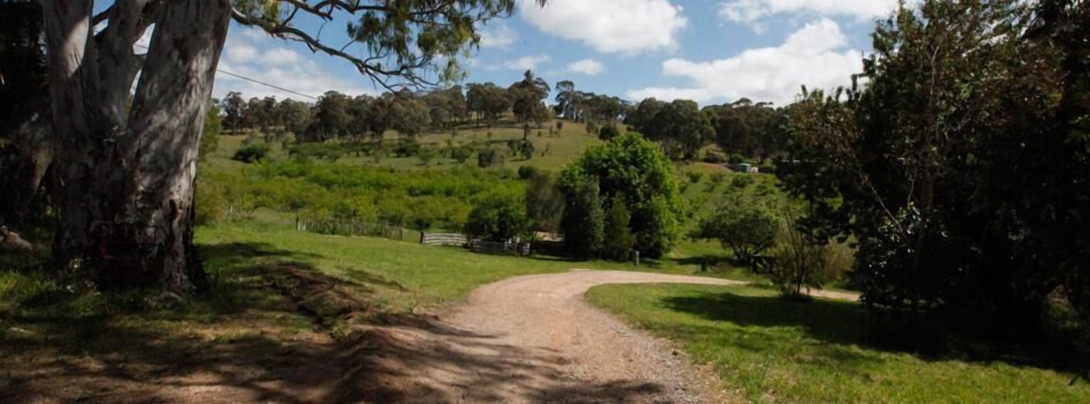 A rural landscape with a dirt path leading through a grassy area with trees and hills in the background.