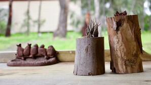 A wooden table with a cactus and a bird sculpture. - The Apartment (Moyston)