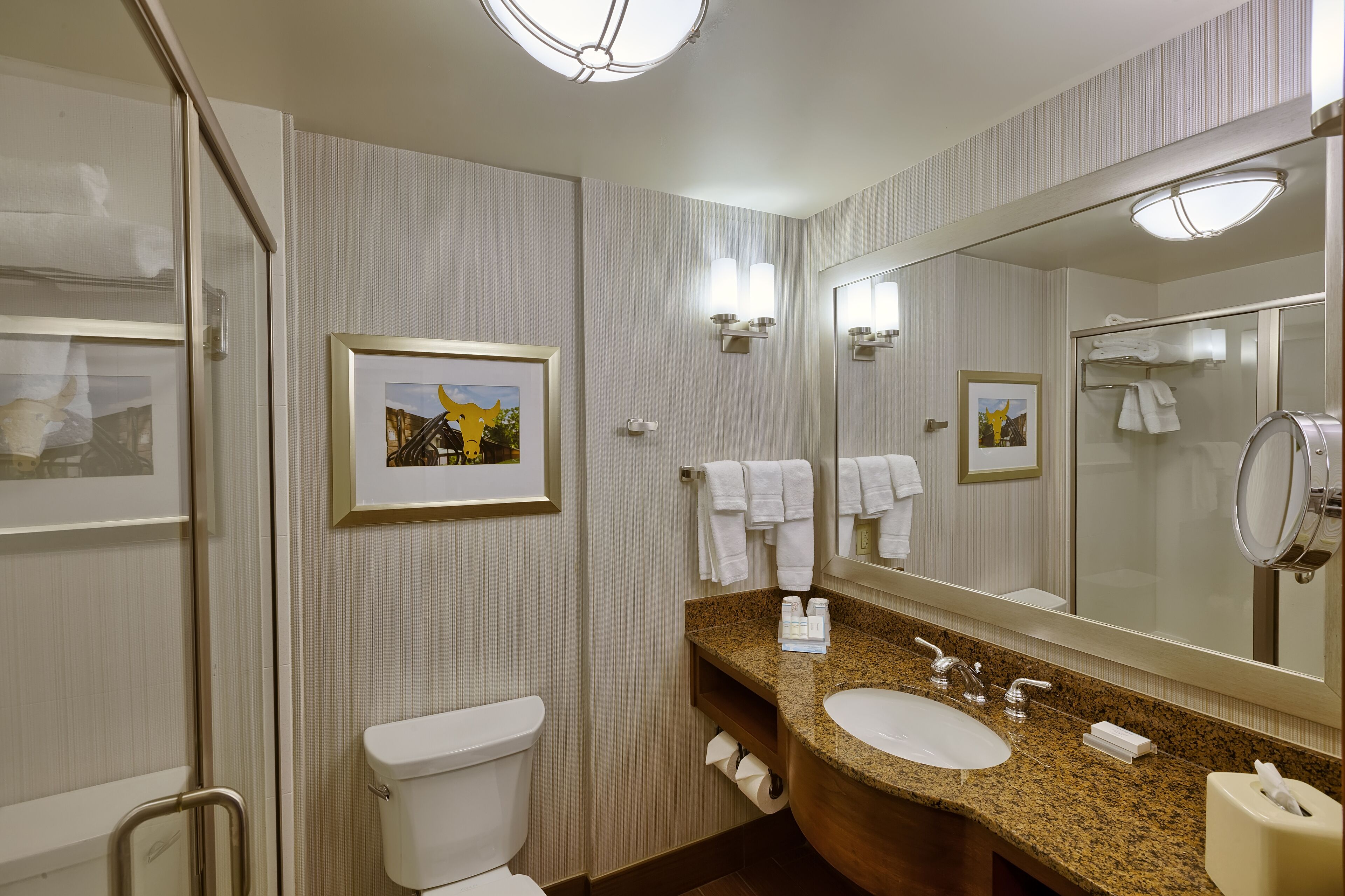 free toiletries, hair dryer, towels, soap