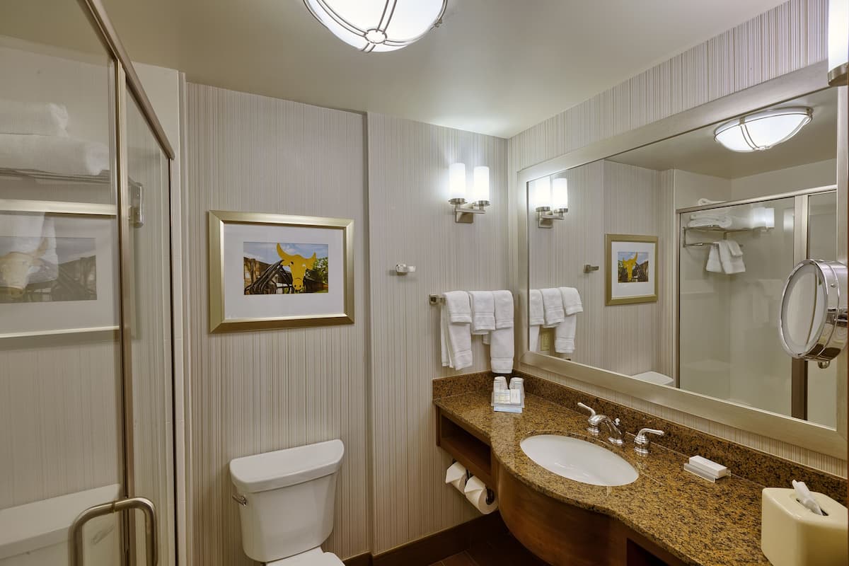 free toiletries, hair dryer, towels, soap