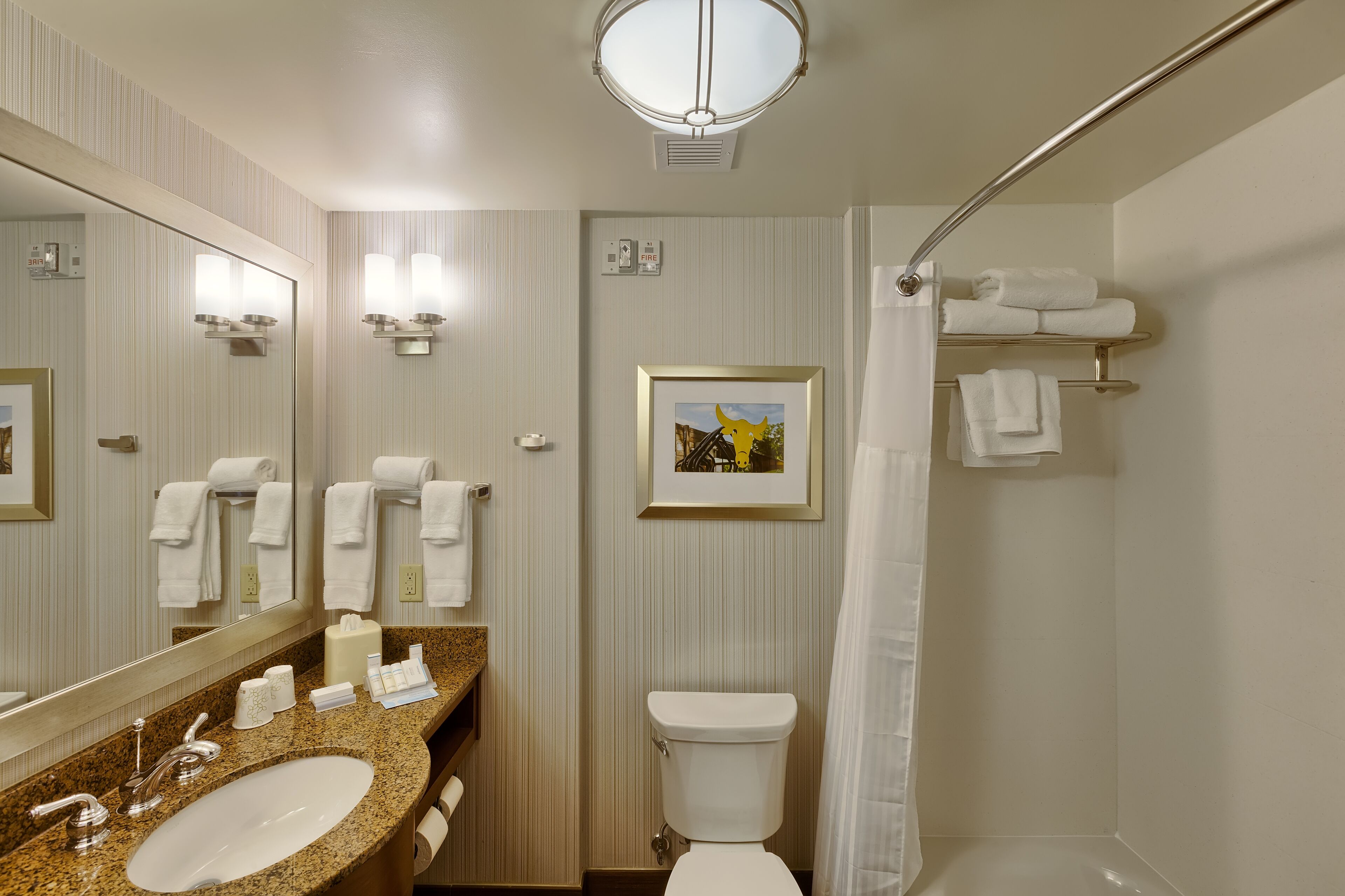 free toiletries, hair dryer, towels, soap