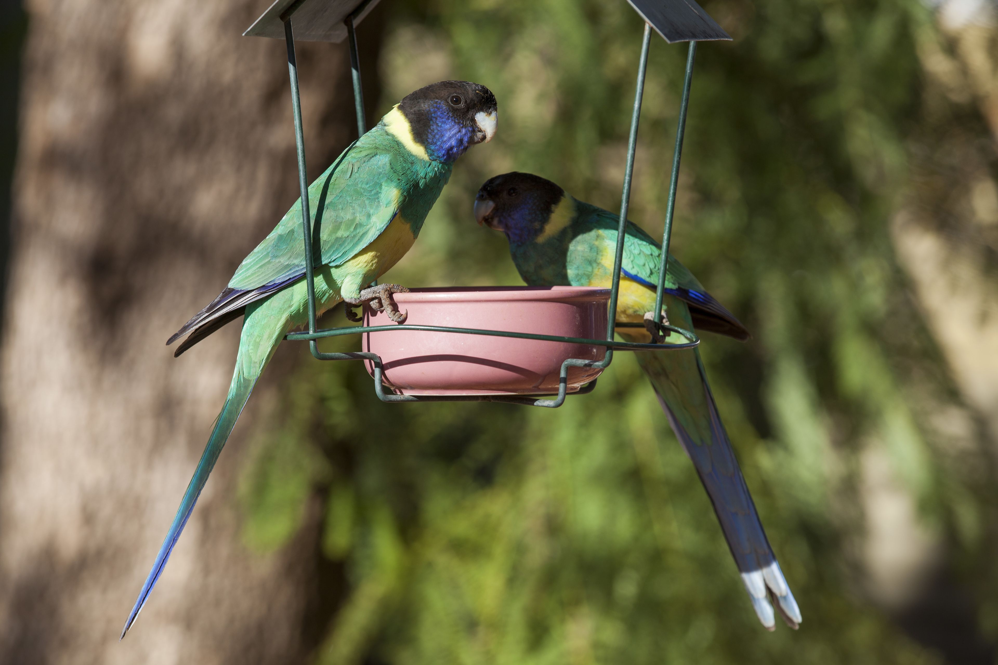 Photo - Kathys Place Bed and Breakfast