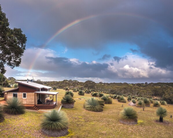 A modern house with a deck, surrounded by spherical topiary trees and a grassy landscape. - Ecopia Retreat (Seddon)