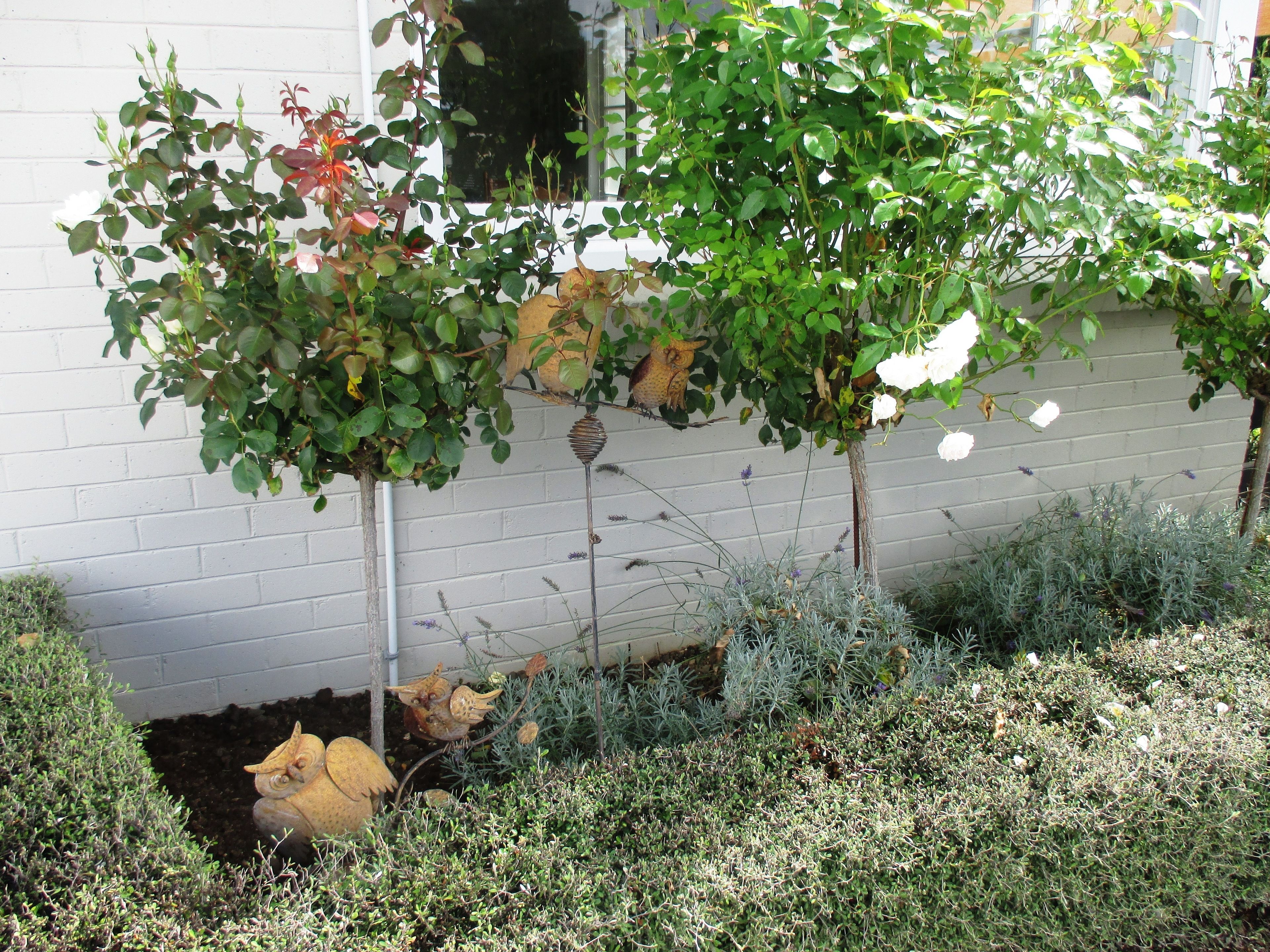 A garden with various plants and a decorative metal sculpture.