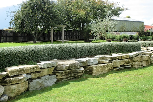 Jardin