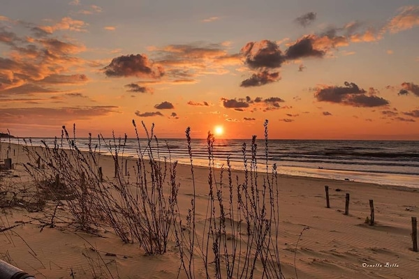 Plage privée à proximité, chaises longues, parasols, 2 bars de plage