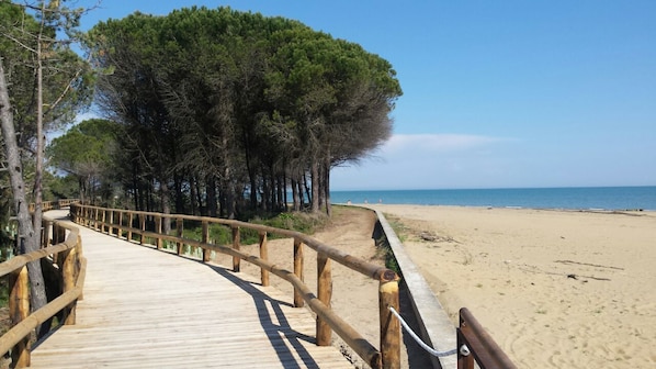 Plage privée à proximité, chaise longue, parasol, 2 bars sur la plage