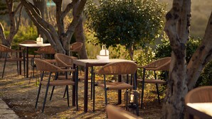 An outdoor seating area with wicker chairs and tables, surrounded by trees and greenery.