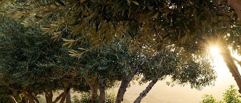 Garden Level Hideaway | Outdoor dining