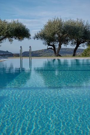 Una piscina al aire libre, sombrillas, sillones reclinables de piscina