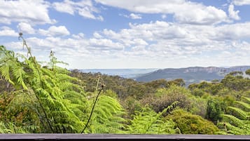 A lush green landscape with ferns and a wooden railing.