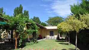 A house with a garden, a pergola with climbing plants, and a red chair. - La Casa de Feli (Barreal)