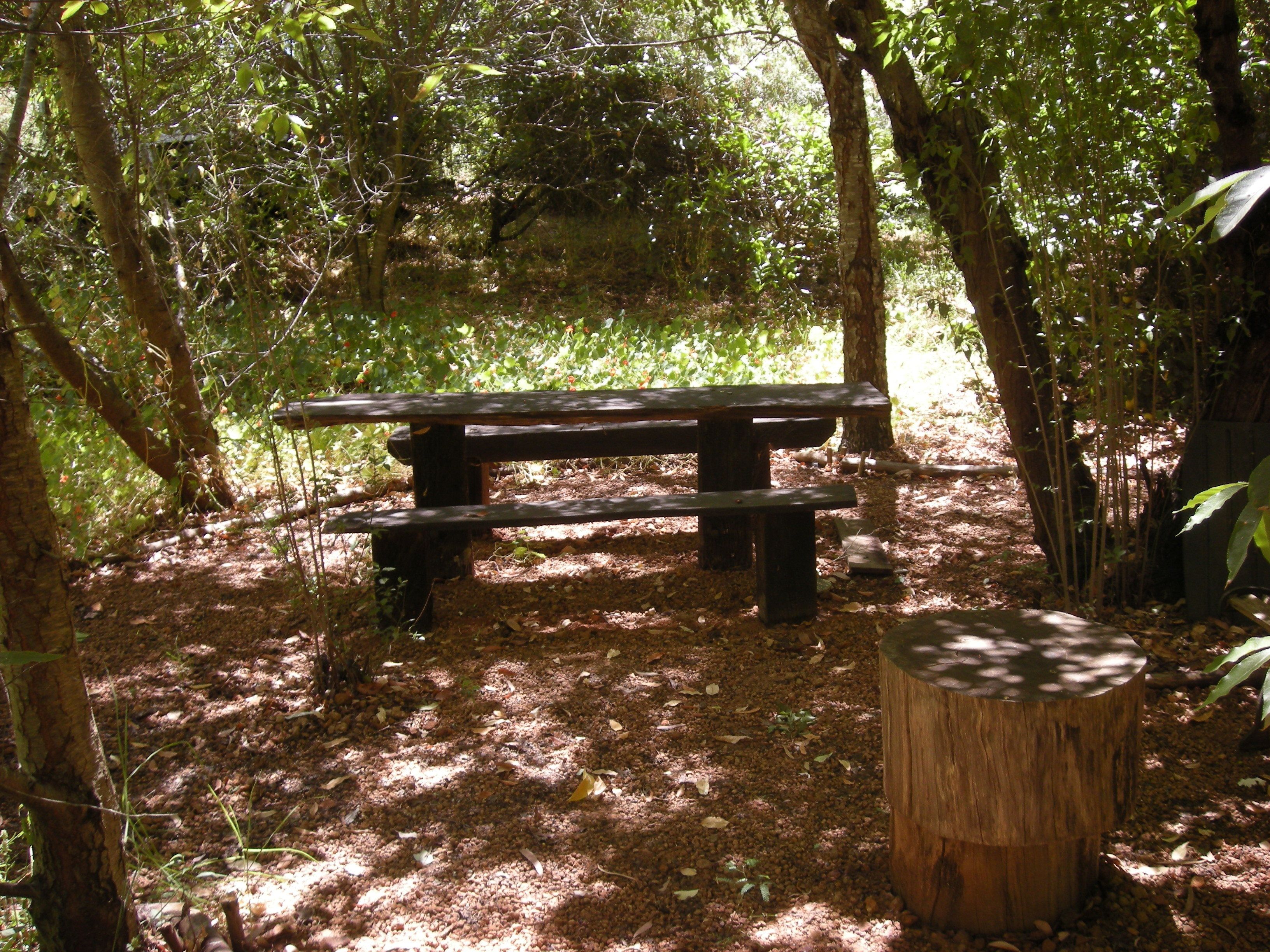 A picnic table surrounded by trees in a forested area.