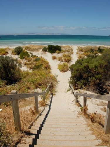 The Rookery at Christmas Cove