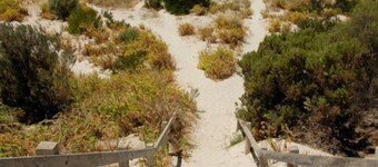 The Rookery at Christmas Cove