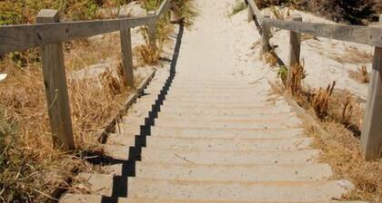 The Rookery at Christmas Cove