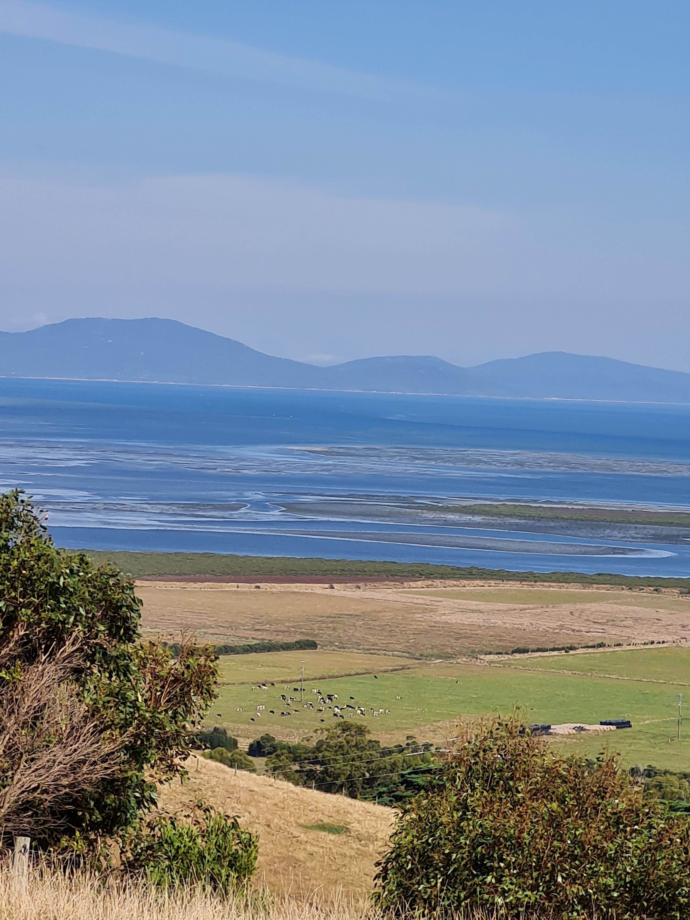 A coastal landscape with rolling hills, a clear sky, and a distant mountain range.