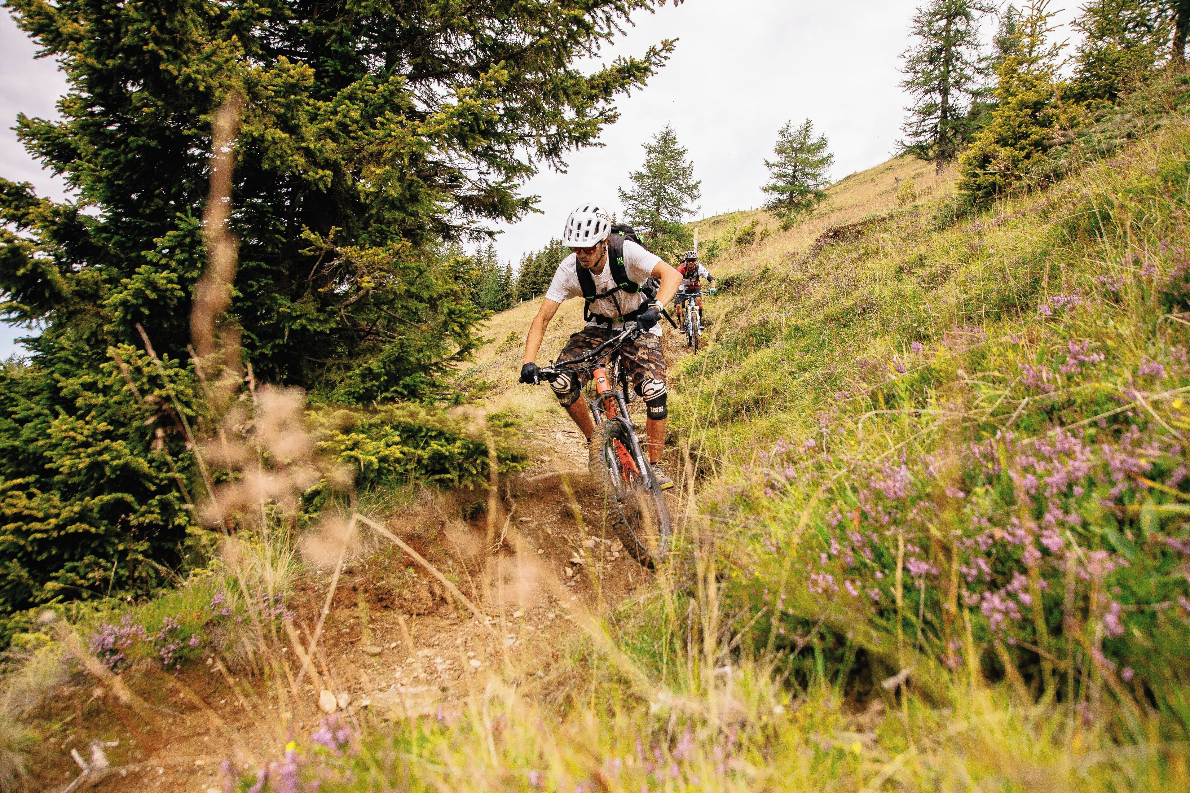 Un ciclista de montaña en un sendero de tierra rodeado de vegetación y árboles.