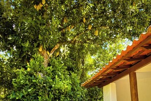 Exclusive-Zimmer (Bromélias) | Ausblick vom Zimmer