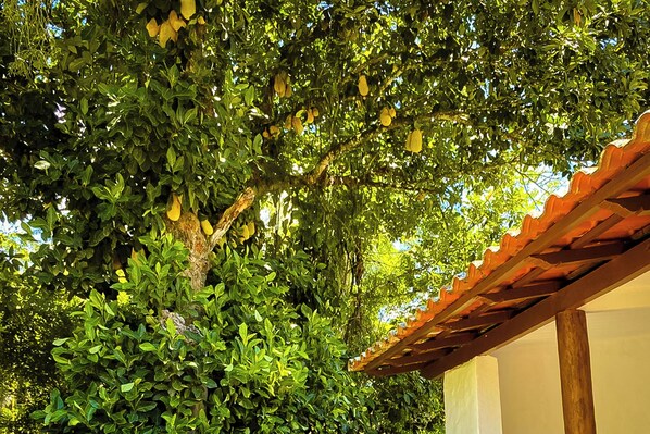 Una estructura de pérgola con techo de tejas, rodeada de abundante follaje y árboles verdes.
