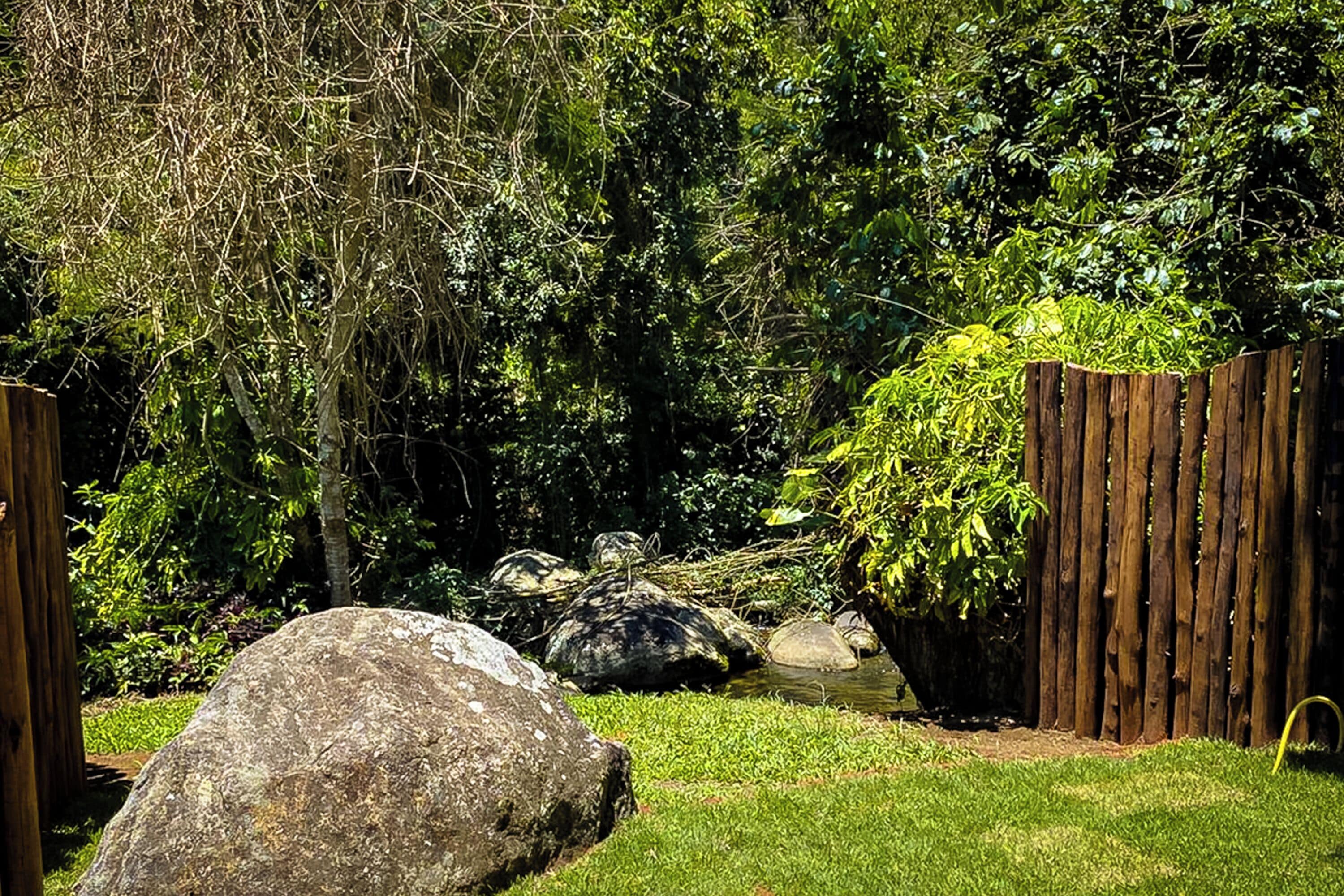 Habitación exclusiva (Bromélias) | Vistas desde la habitación