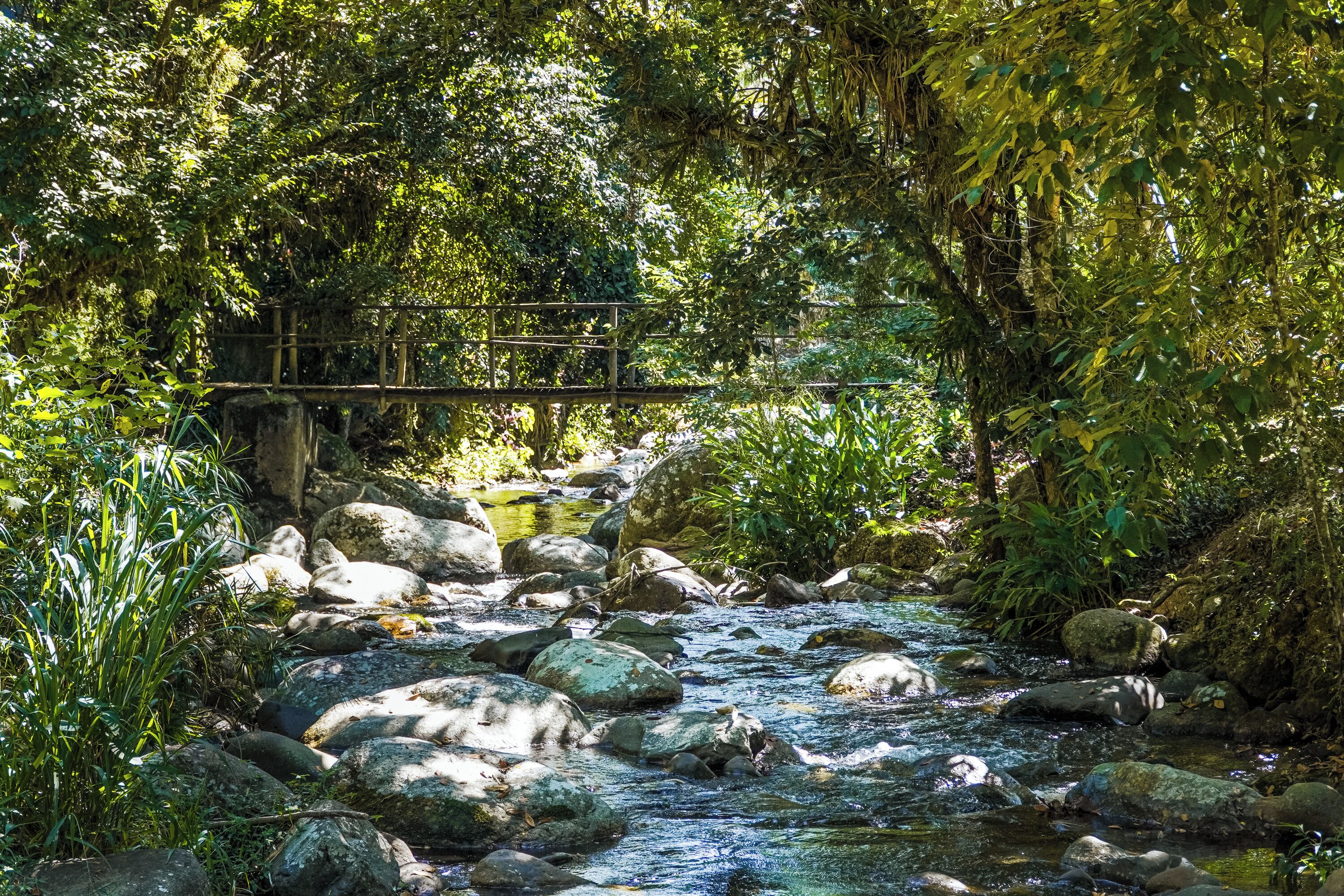 A natural stream with rocks and greenery, a wooden bridge, and a stone wall.