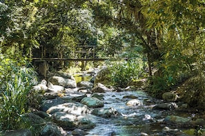 Un arroyo natural con rocas y follaje, un puente de madera y un muro de piedra.