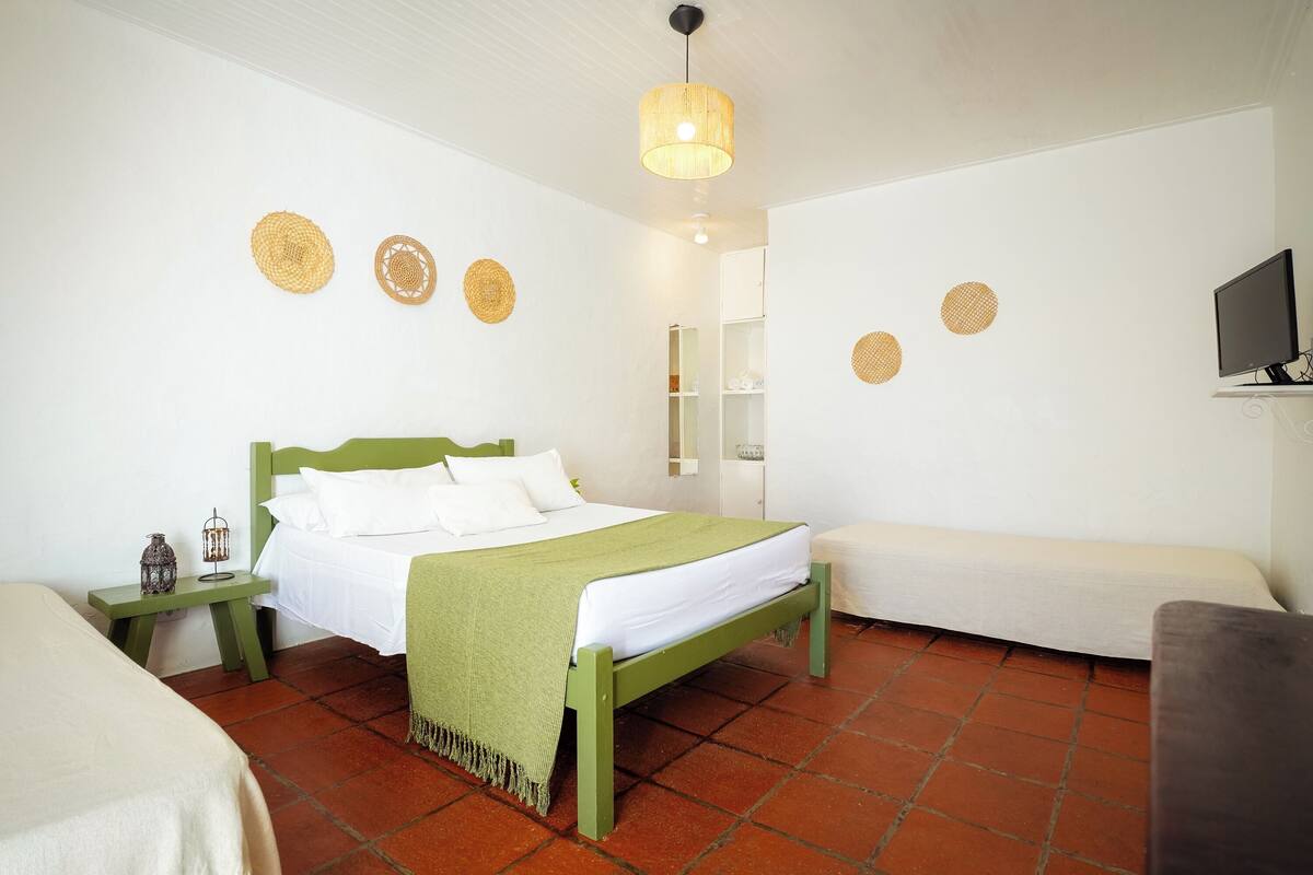 Standard Suite (Bromélias)