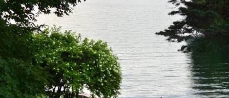 Blick auf einen See mit Liegestühlen und einer Rasenfläche.