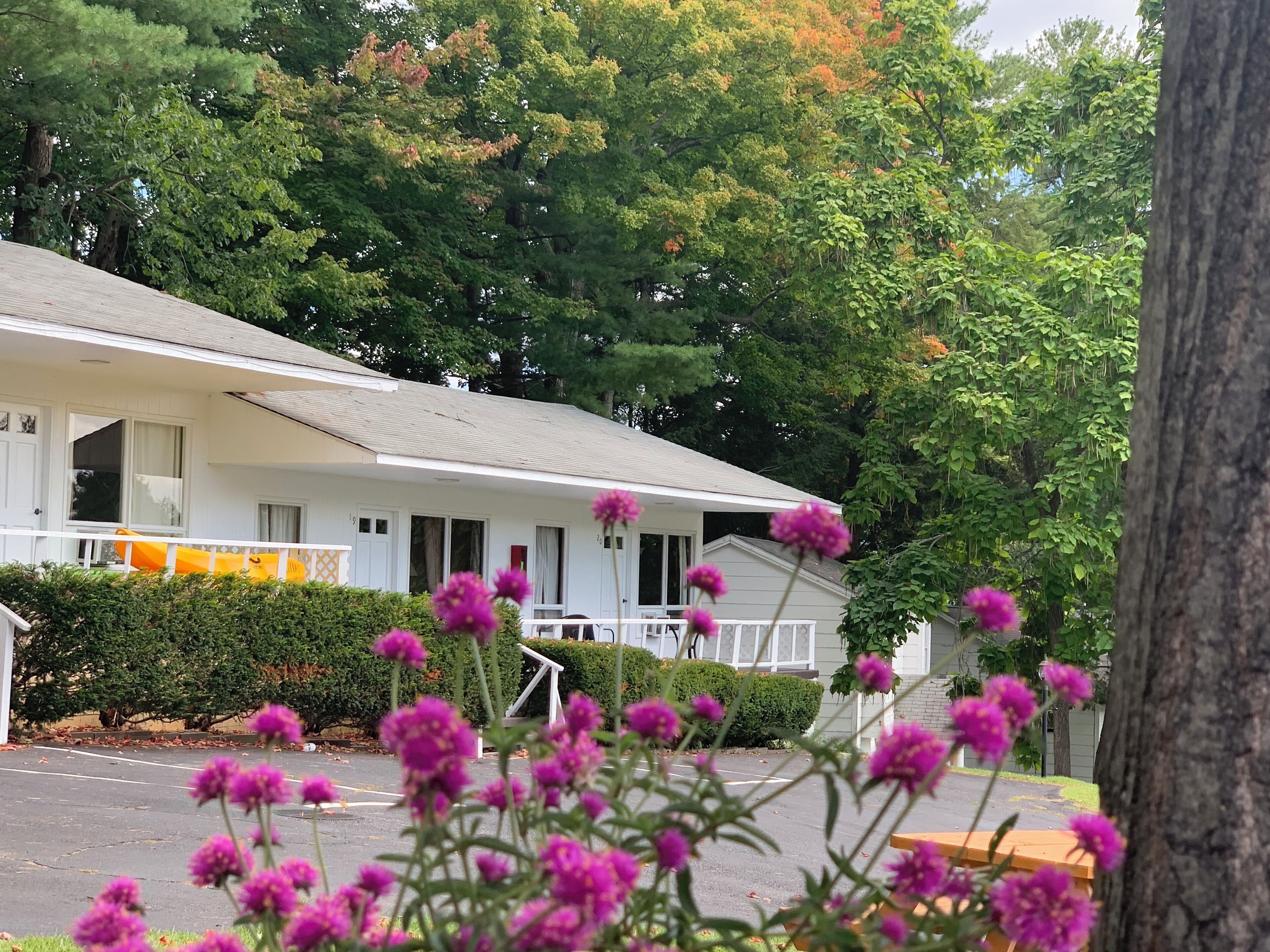 Villa Suites | Living room | TV