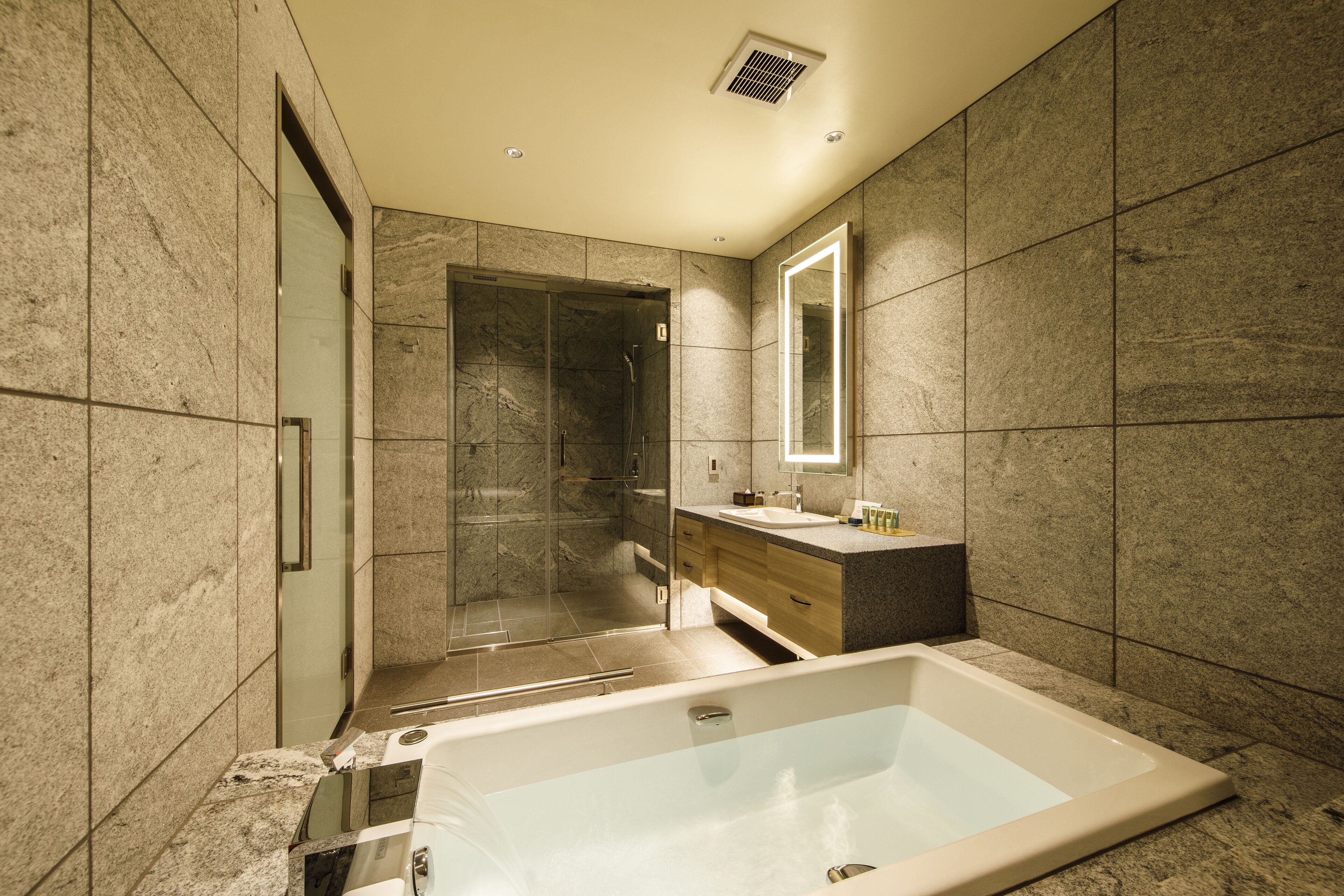 premium luxury twin room vista with lounge access [adult-only], non-smoking | bathroom | combined shower/bathtub, hair dryer, electronic bidet, towels