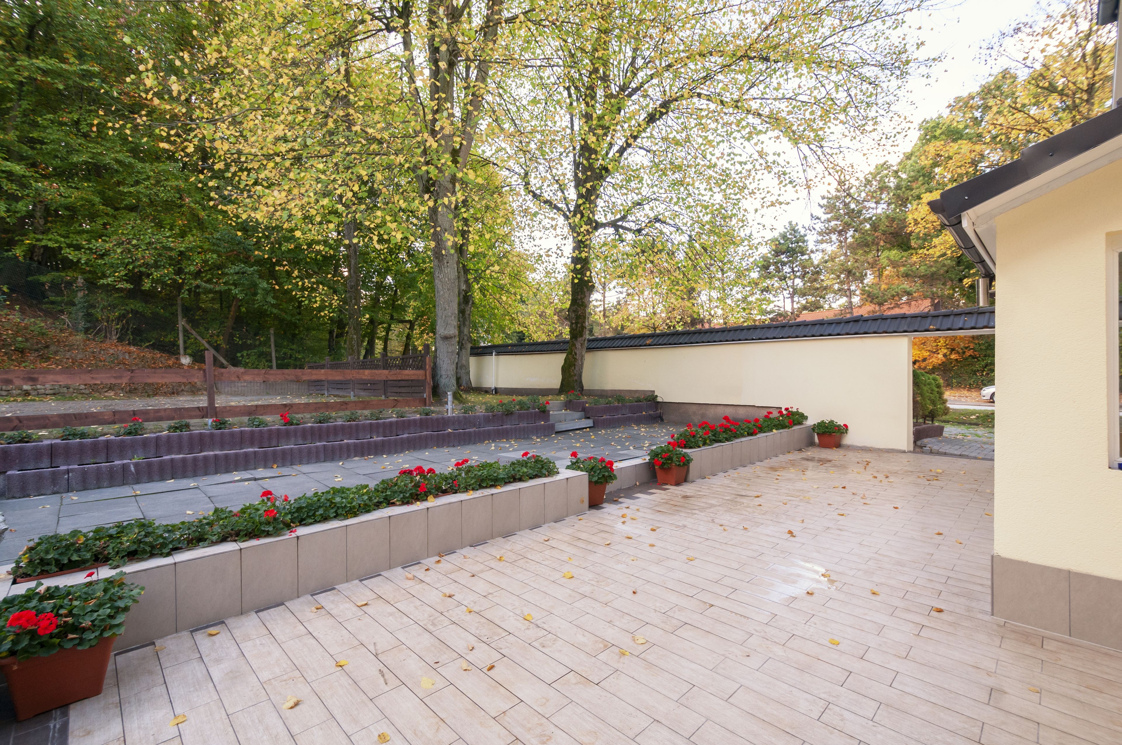 Photo - Hotel Grüne Tanne