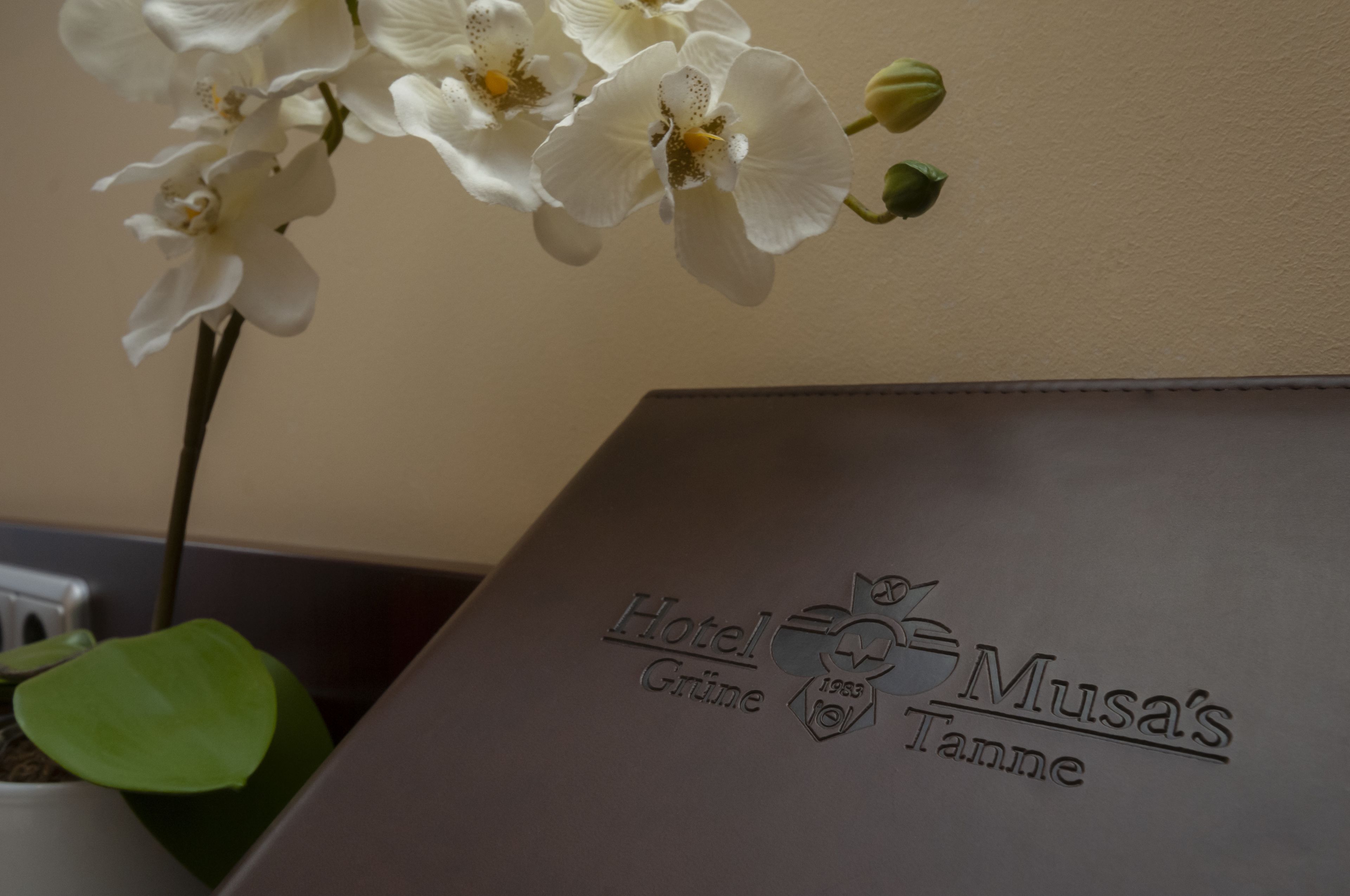 Photo - Hotel Grüne Tanne