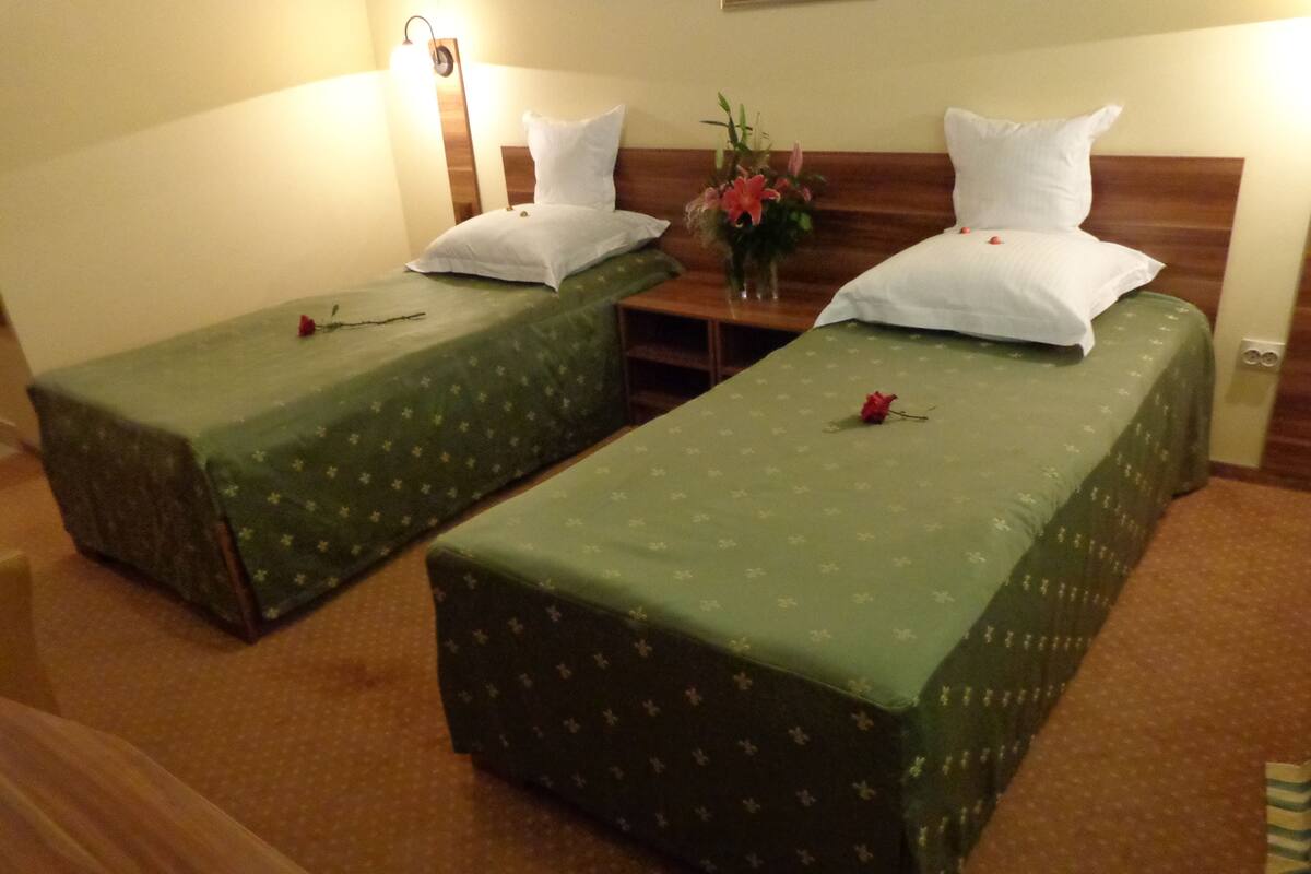 Quarto de hotel com duas camas de solteiro, uma mesa de cabeceira, um vaso com flores e uma cabeceira de madeira.