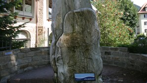 Dettaglio esterni