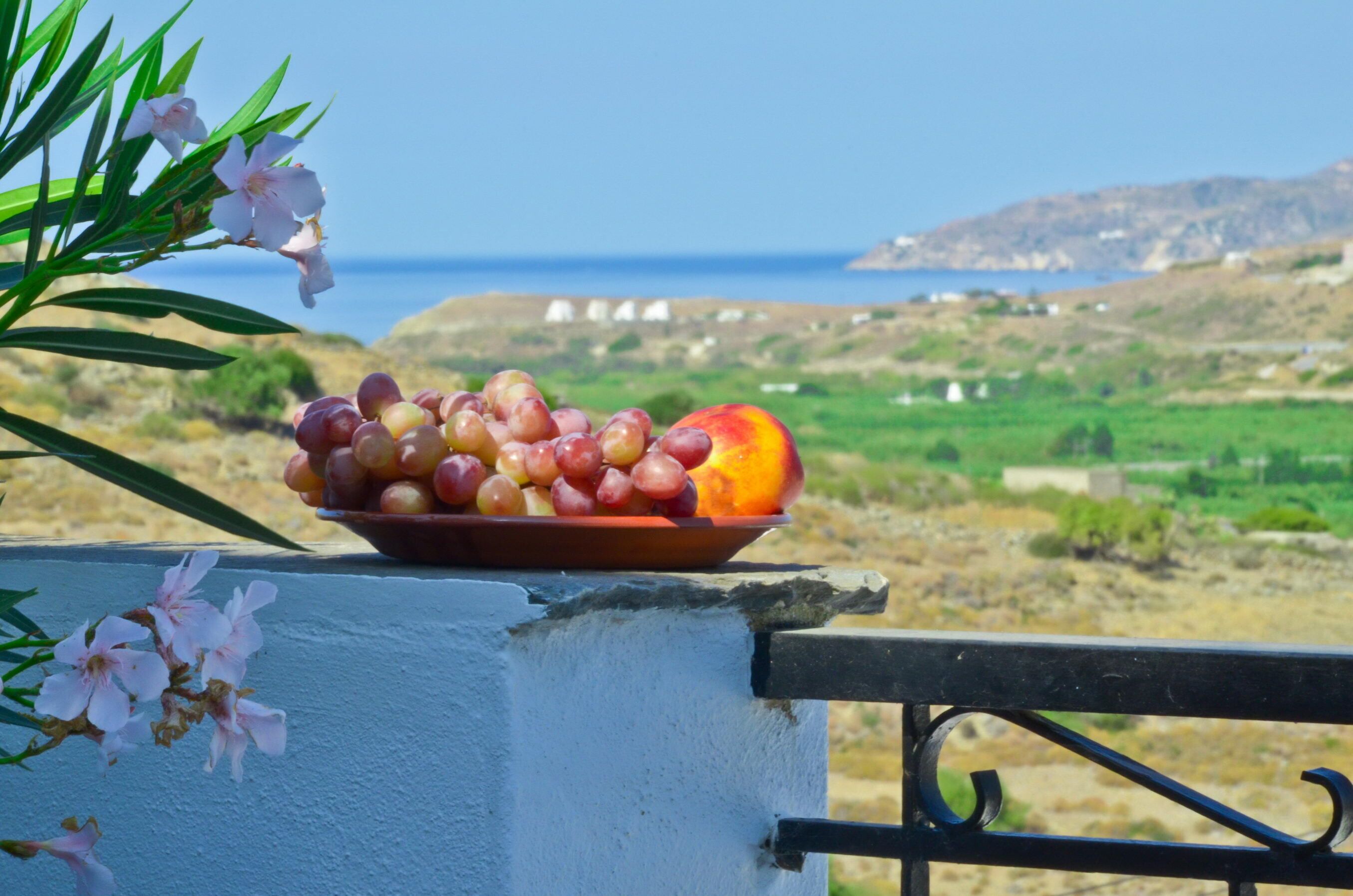 A bowl of fruit on a balcony with a view of a coastal landscape.