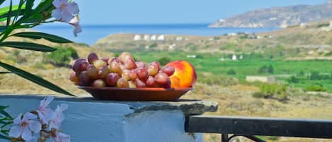 A bowl of fruit on a balcony with a view of a coastal landscape.