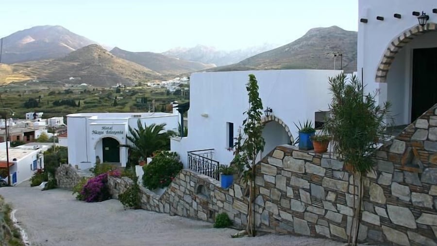 Hotel Naxos Filoxenia