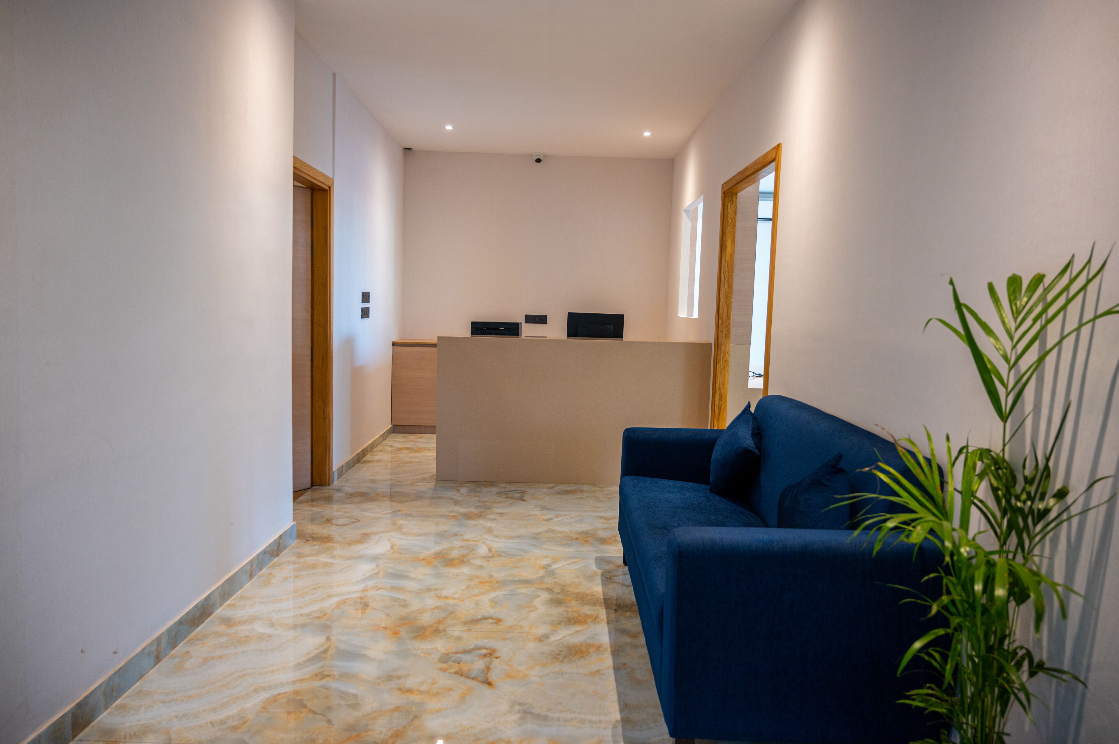 A hallway with a reception desk, a blue sofa, and a potted plant.