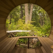 Hotel Zed Tofino