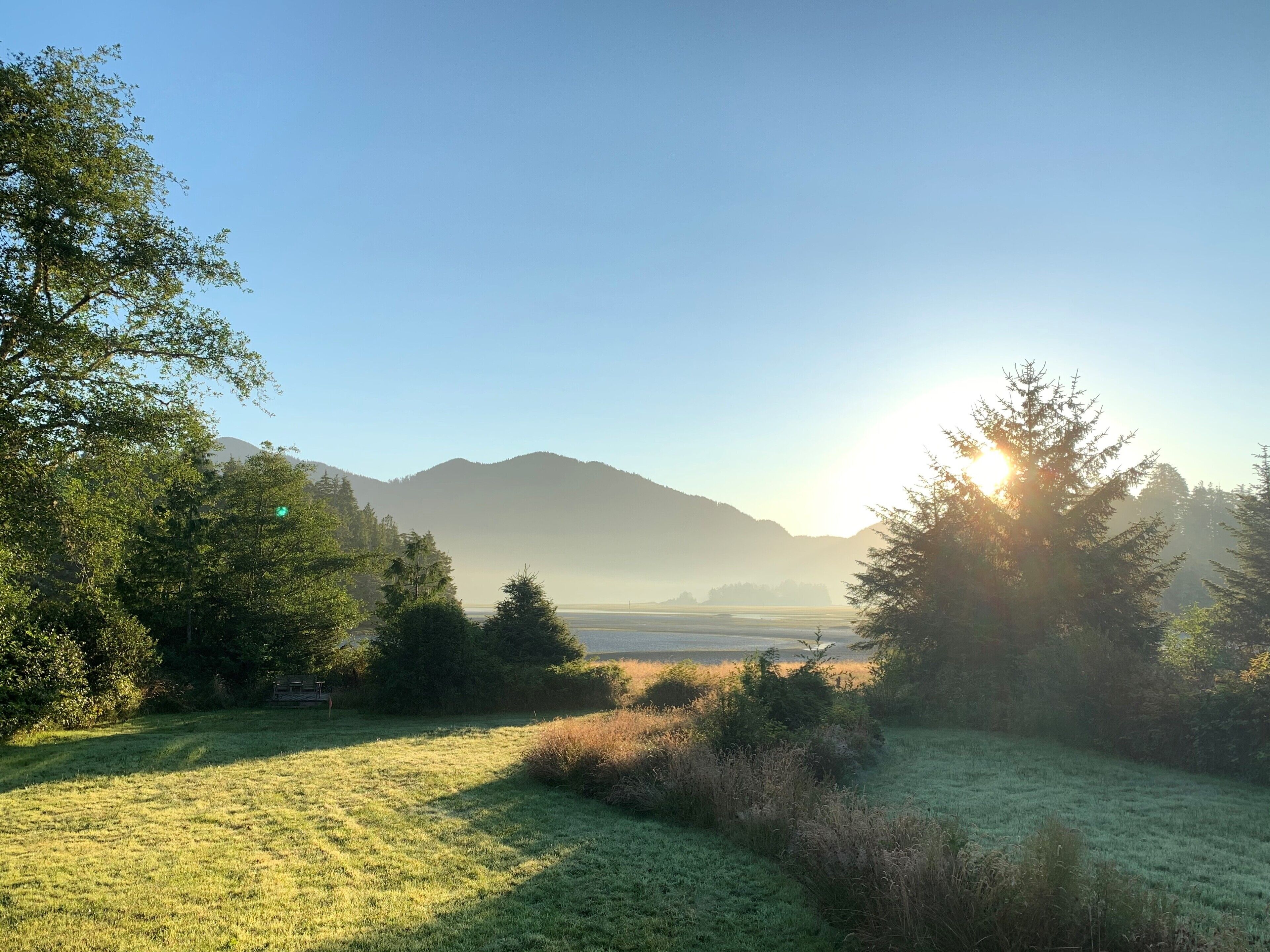 A serene landscape with a clear sky, a grassy field, and a mountain in the distance.